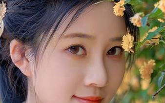 年年Nnian的图像日记：月刊少女的随意翻阅